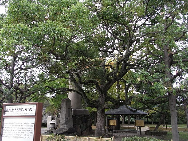 RIMG0188.jpg