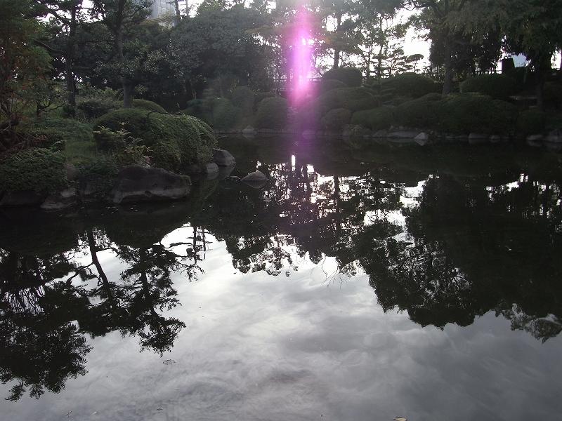 RIMG0240.jpg